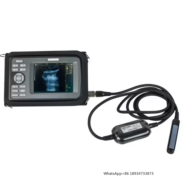 Animals Affordable …