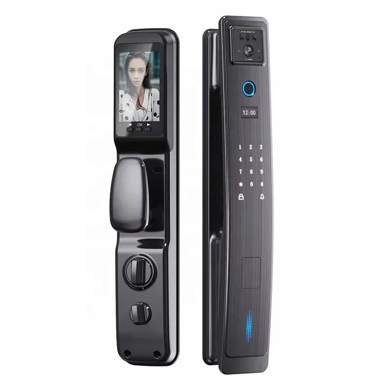 Face Recognition Digital Door Lock Wifi Remote Control Full-automatic Smart Door Lock with Camera