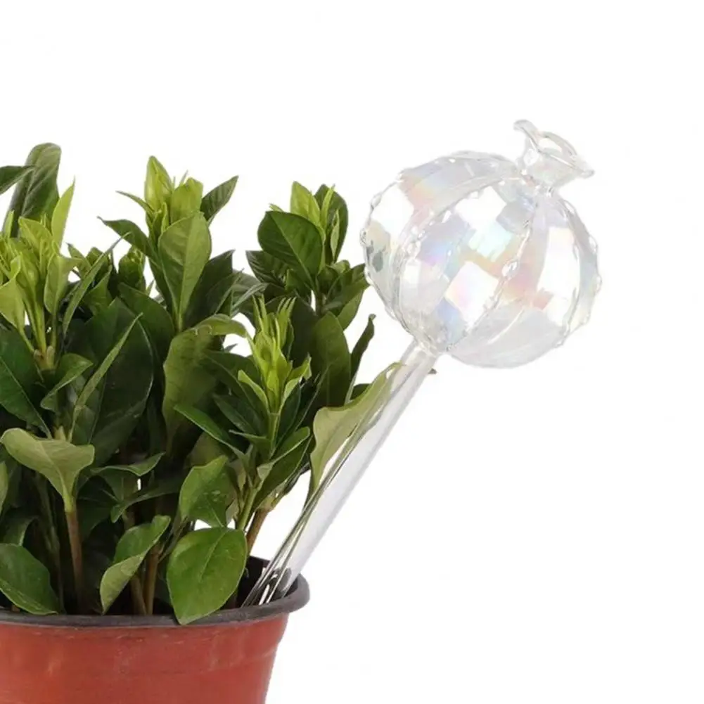 Plant Hydration System Self Watering Bulb Planter Insert Automatic Plant Watering Globe Device Vacation Watering Solution Gift