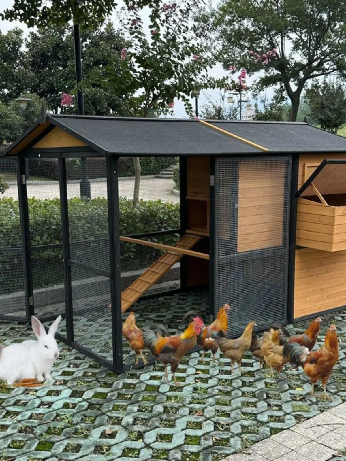 Outdoor cat cage rain protection sun protection chicken  household outdoor large  rabbit cat nest direct sales