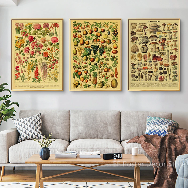 Antique Botanical Illustration Poster Bird Fruit Plants Flowers Prints Vintage Home Room Kitchen Garden Decor Art Wall Painting
