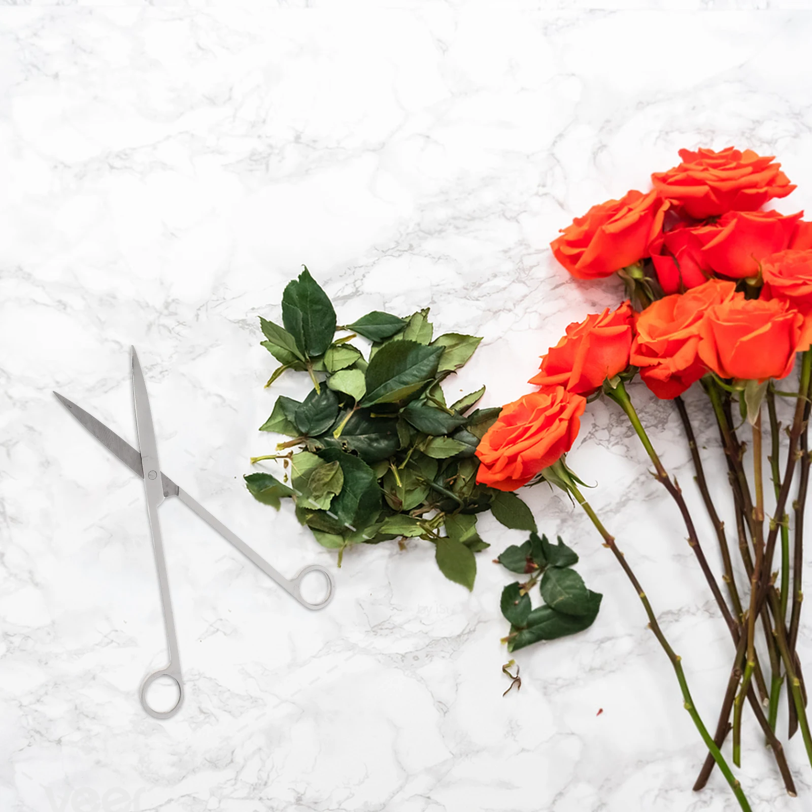 

Aquatic Plant Scissors Stainless Steel Long Handle Straight Sharp Water Plant Trimming Scissors for Aquarium Gardening