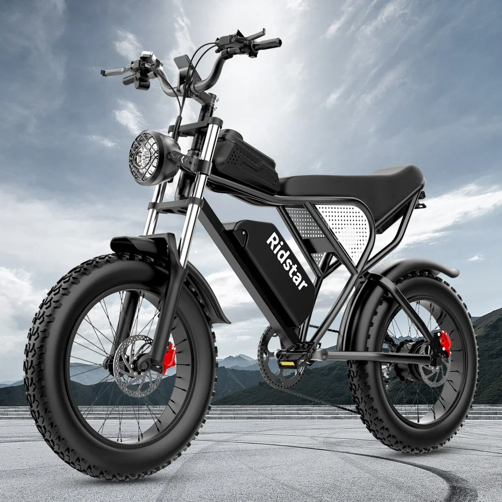 Electric Ebike 1500W 48V 20Ah 20 4.0 Inch Fat Tire Mountain Snow Electric Bicycles Hydraulic Brakes Electric Bike Motorcycle