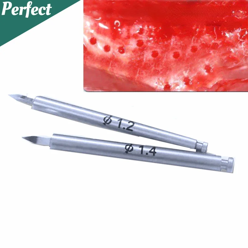 Dental Nutrient Drill Implant Bone Increment Implant Nutrient Hole Drill Promote New Bone Formation Bone Drill Dental GBR