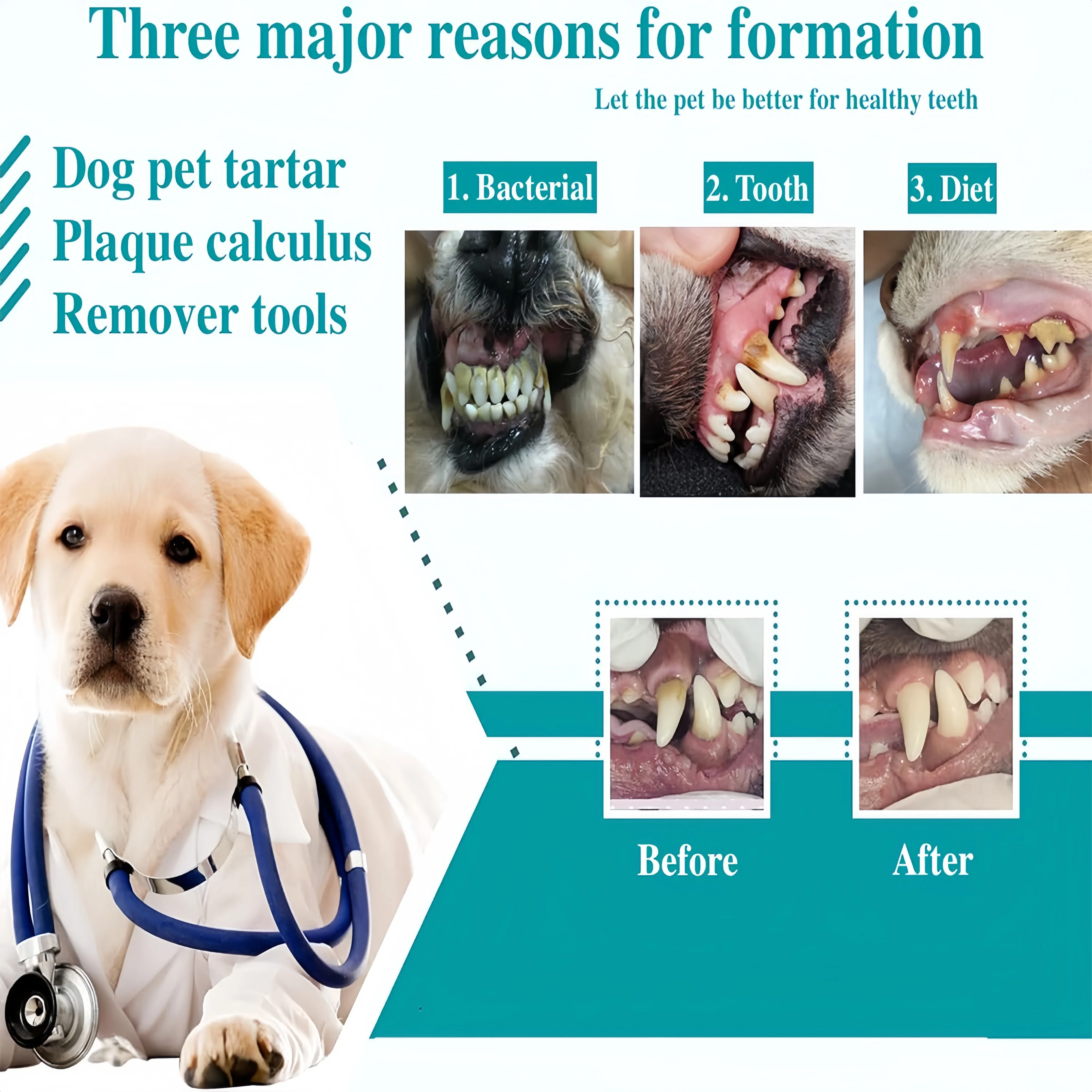 Zahnreinigungsset für Hunde, Zahnsteinentferner aus Edelstahl, Zahnsteinabschaber, gebogener Nadelreiniger, Silikon-Fingerbürste, Mundhygiene-Set für Katzen und Hunde – Detail 6
