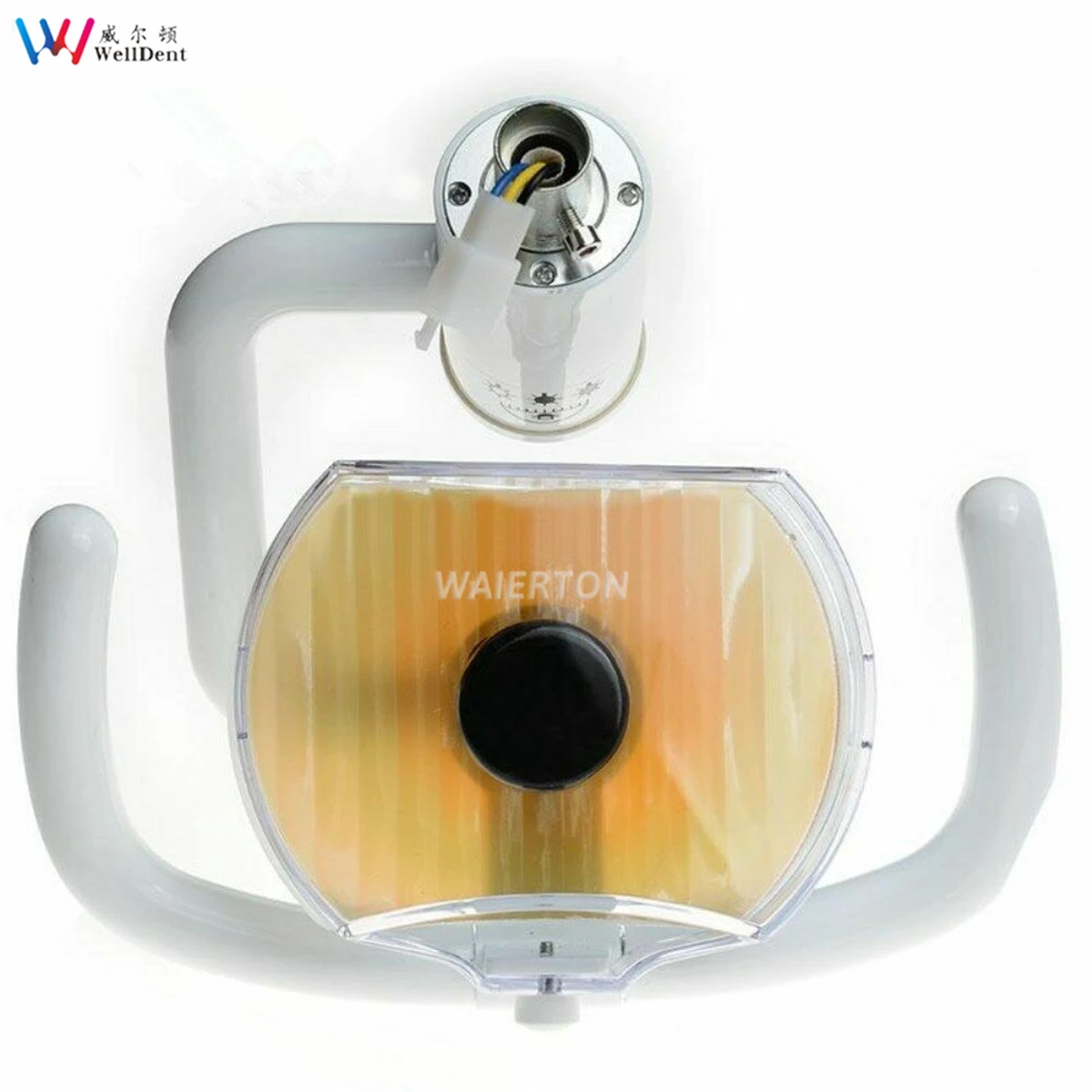 Dental Oral Light Halogen Shadowless Light for Dental Chair Unit 22mm 26mm Multi-Angle Dentist Chair Platform Clean Teeth Lamp