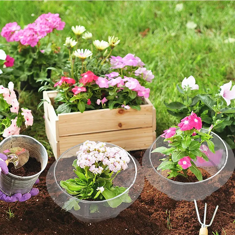 Plant Protective Cover Plants Accessories Seedlings Snail Collar Supplies Growing Gardening Veranda Garden Products Gadgets Care