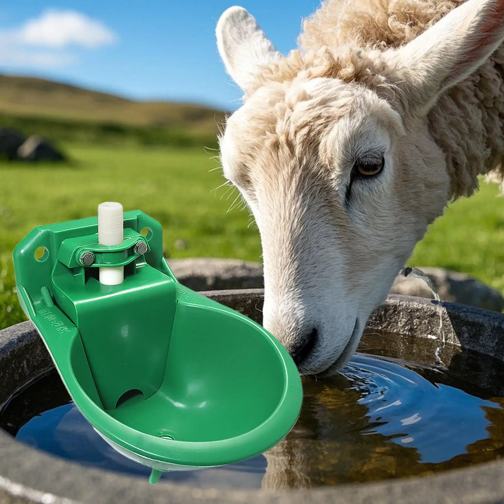 Goat Water Trough H…