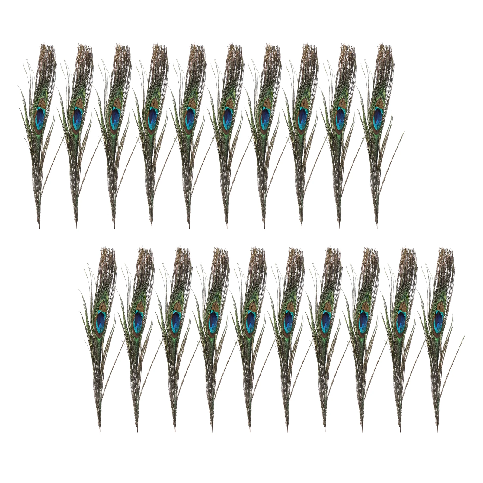 

50pcs 25-30cm Beautiful Natural Tail s Eyes s Decorations for Craft / /Dress /Hats /Bridal Costume /Party