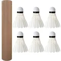 6Pcs