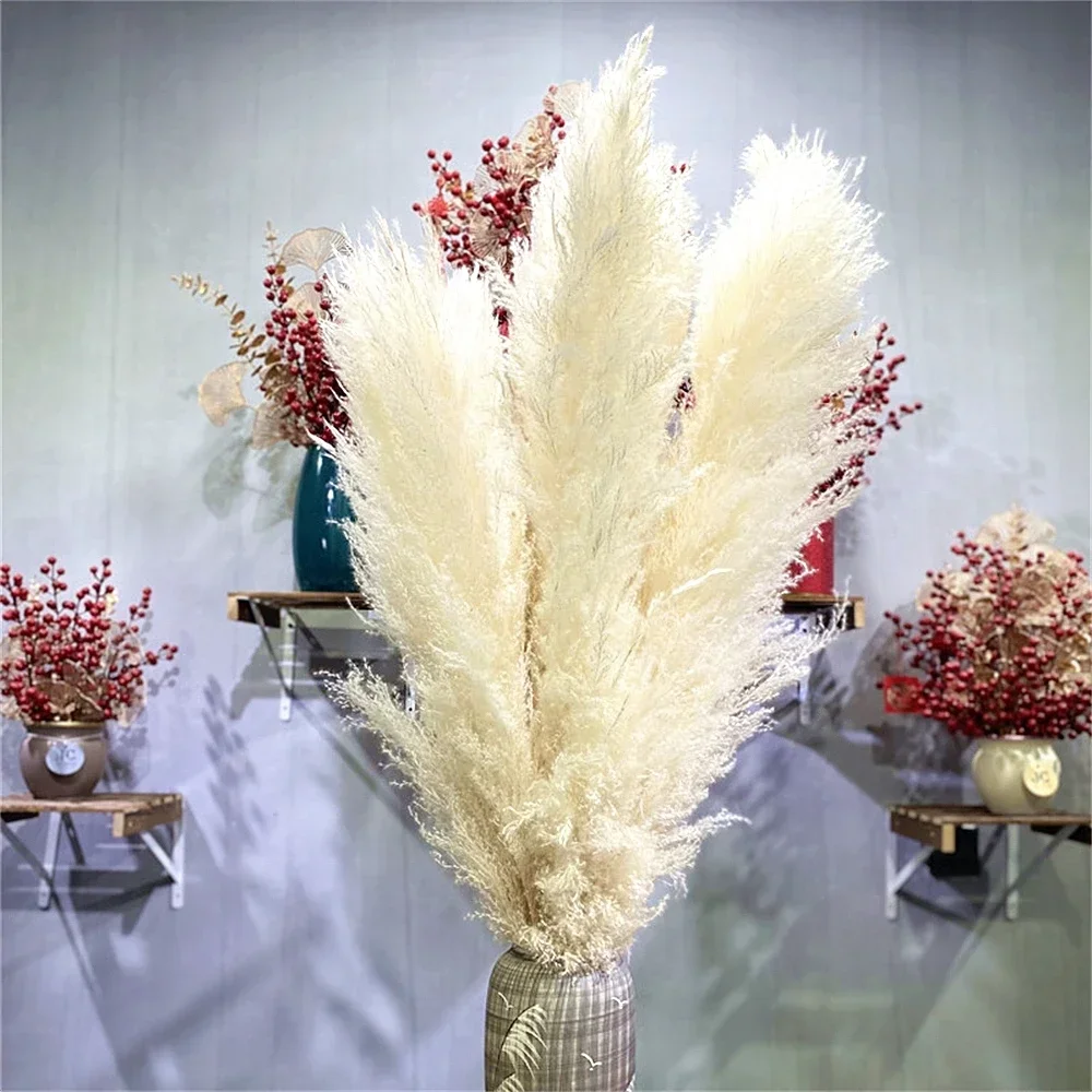 120cm - 130cm Fluffy Large Pampas Grass,Natural Dried Flower Bouquet,Boho Wedding Decoration,Shop Ornament,Vintage Home Decor view 5