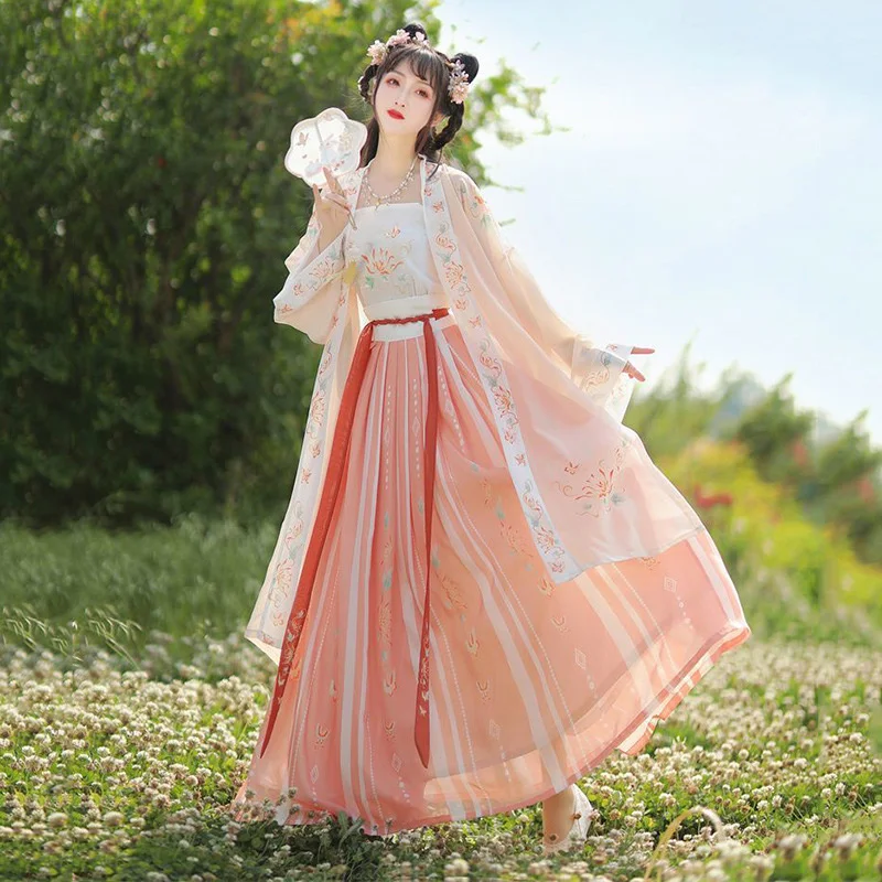 Princess Women Chinese Dance Song Dynasty Costume Fairy Ancient Hanfu Chinese Traditional Dress Stage Dance Performance Party