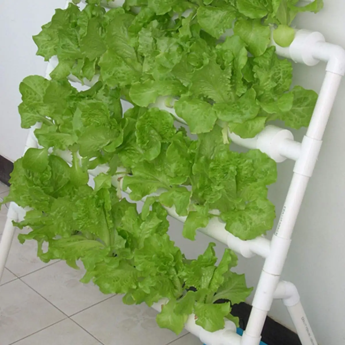 Hydroponics Growing System 36 Plant Sites 3 Layers Hydroponics Growing System Garden Plant System for Leafy Vegetables with Water Pump, Pump Timer, Nest Basket and Sponge