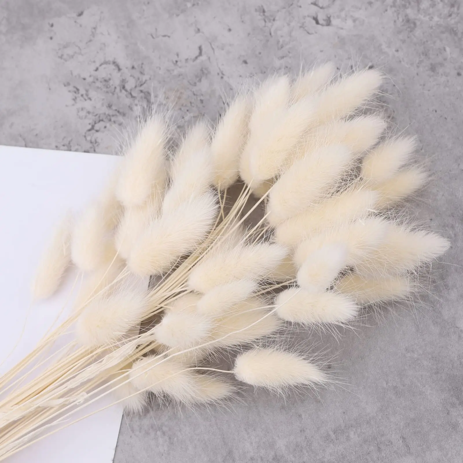 60Pcs Mix Lagurus Bunny Tails Pampas Grass Decor Home Cake Decor Rabbit Tails Dried Flowers Bouquet for Boho Table Decoration