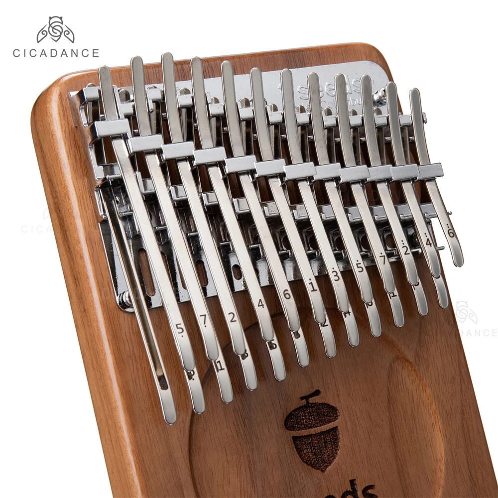 Piano à pouce à 24 touches Kalimba à tonalité C, Diatonic Mbira, clavier en noyer noir, Instruments musicaux avec accessoires, cadeau