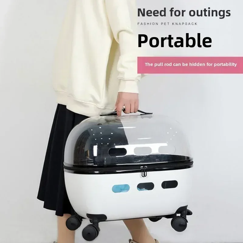 Suitcases Cat Backpack Carrier Pet Bag Cat Supplies Cat Travel Bag Space Carrier Pet Cage Carry on Luggage with Wheels Travel