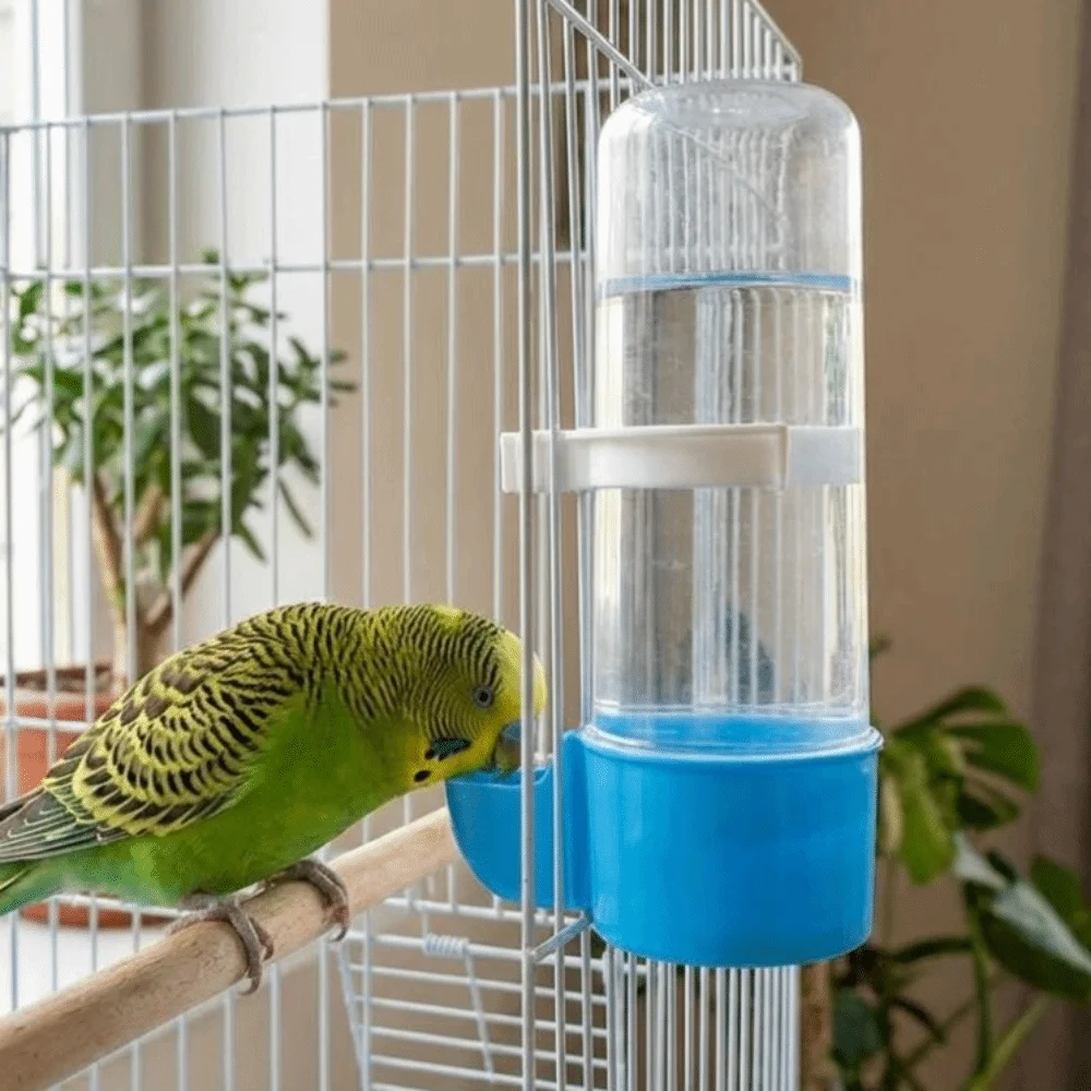 240ML Capacity Automatic Bird Feeder Leak-Proof Plastic Bird Water Dispenser Detachable Base Hummingbird Feeder