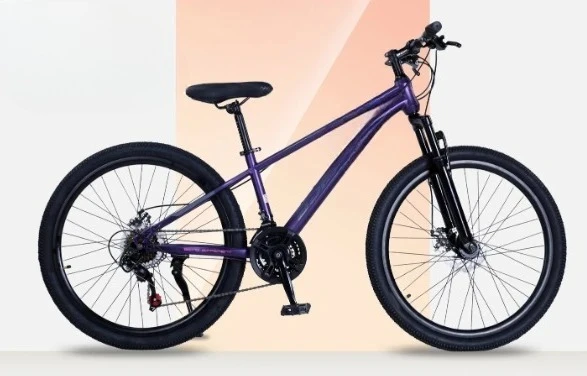 Adult Variable Speed Mountain Bike