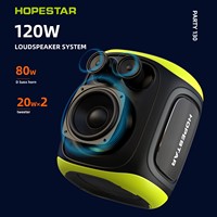 Portable HOPESTAR PARTY130 120W Subwoofer Active Kara Party Wireless Speaker Dual Microphones Bluetooth Communication DC Power