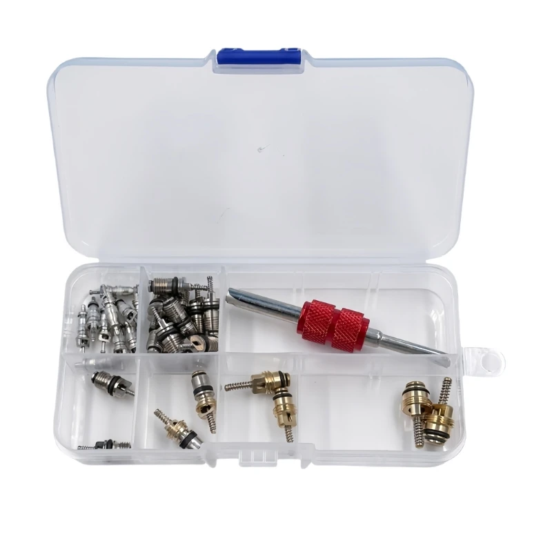 

SZCH Air Conditioning Valves Maintenance ForVehicle Contains 10 Metal Cores And Tool Enhancing Cooling