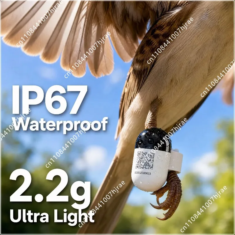 2.2G ultralight BTD locator for racing and carrier pigeons, competitive flight locator
