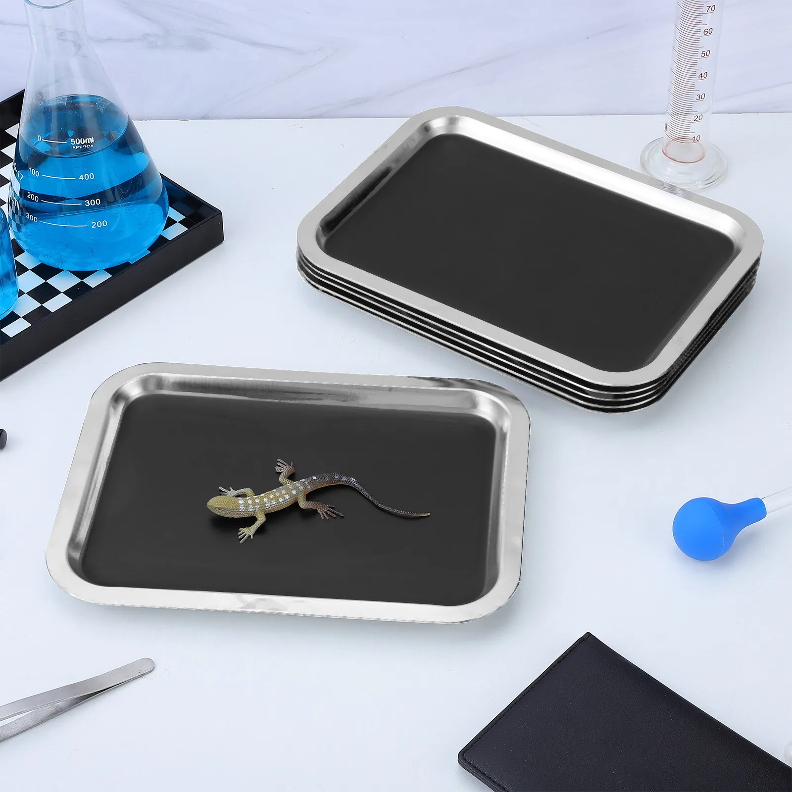 Stainless Steel Dissecting Trays 6 Piece Lab Specimen Pinning Pans for Biology Anatomy Science Students
