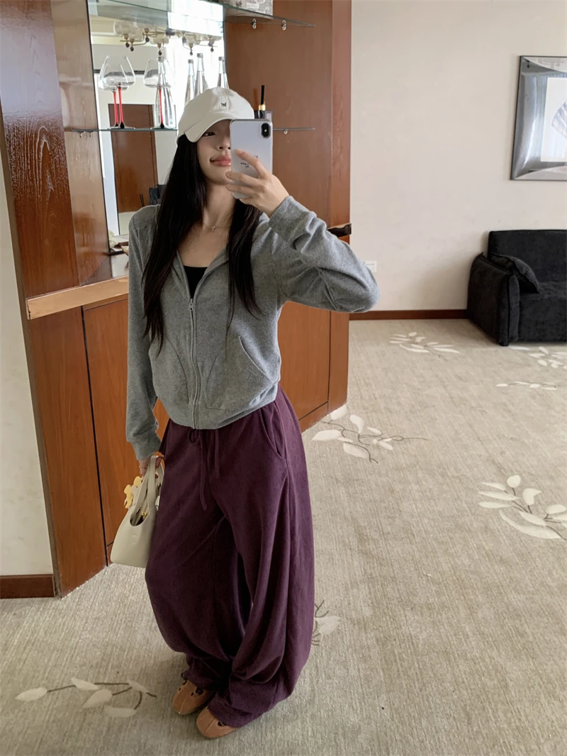 

Casual Two-Piece Set Hooded Long Sleeve Women's Spring Drawstring Elastic Waist Straight Leg Pants Outfit Sweatshirt Jacket
