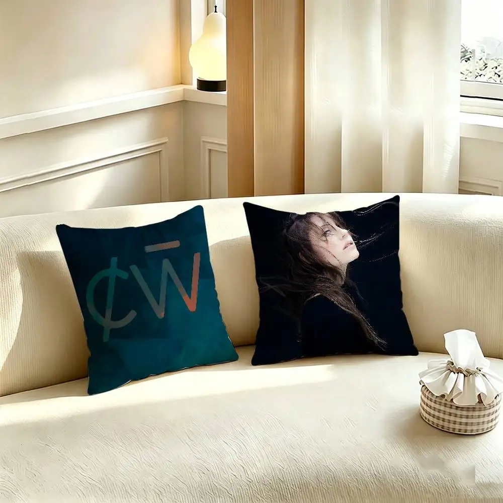 C-charlotte de witte Printed Pillow Cover Cushion Case Simple Sofa Pillow Case No Pillow Core