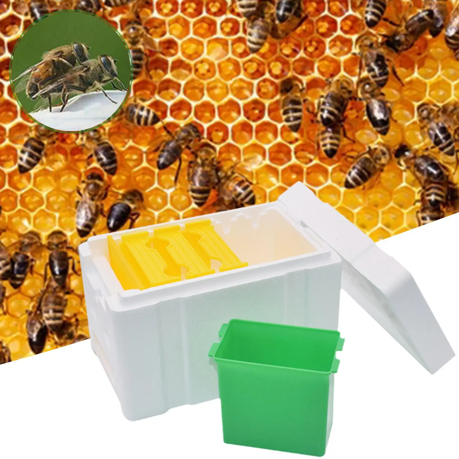 Queen Bee Breeding Box Bee Mating Box Foam Bee Hive Box Beekeeper Garden Pollination Box Bee Breeding Case Beekeeping Equipment