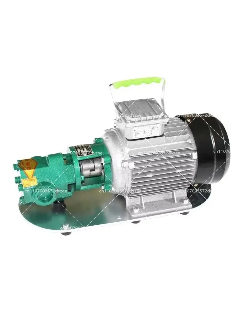 750W Stainless Steel Self-Priming Gear Pump Electric Suction Pump High Flow Hydraulic Oil Motor for Diesel Edible Oil 220V 380V