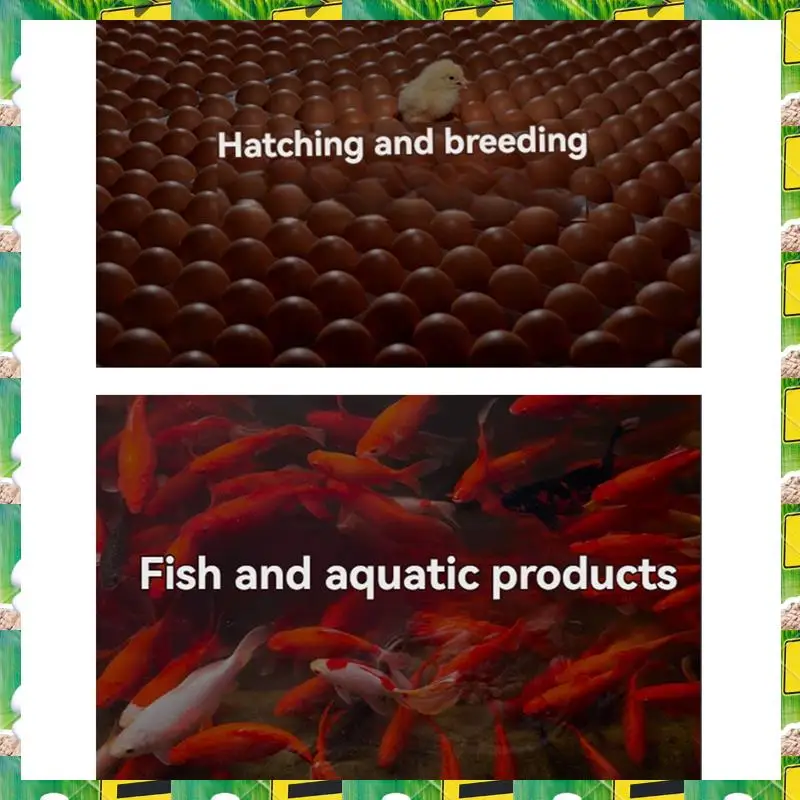 3C Electron DTC2210 Smart Home Wireless Wifi Temperature Controller, DS18B20 Sensor Equipped, For Aquariums,DTC2210 Smart Home W