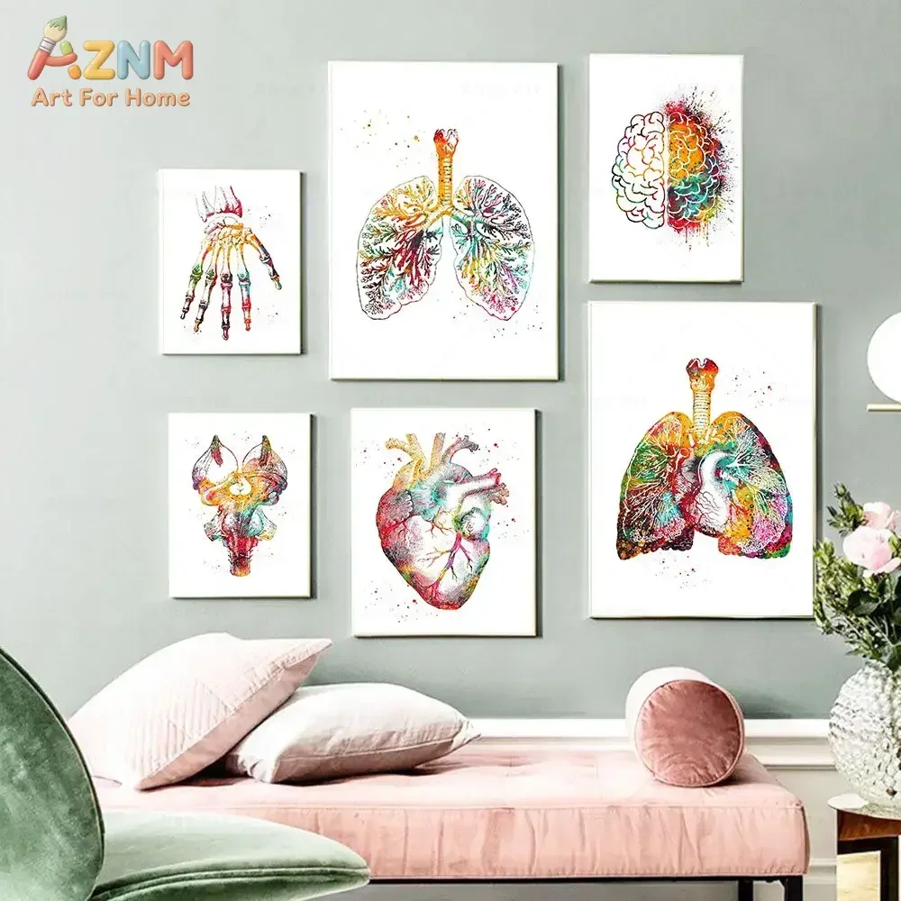 AZNM Colorful Watercolor Human Anatomy Canvas Print Brain Lung Spine Torso Skeleton Medical Art Unframed Canvas Wall Art Clinic