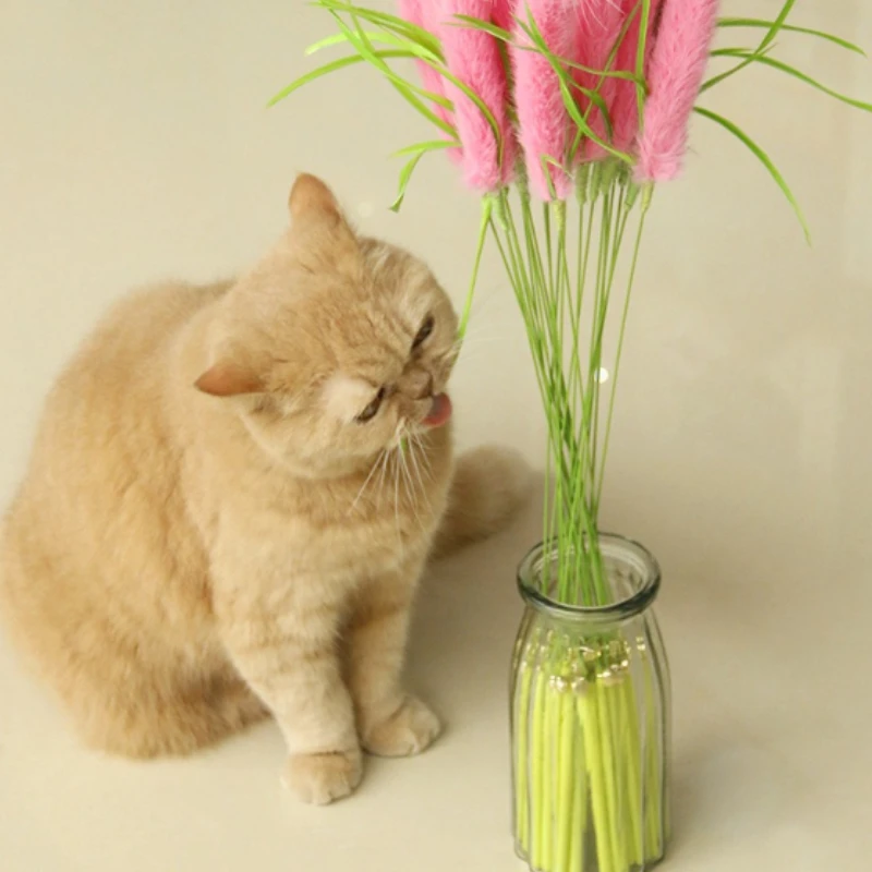 Juguete interactivo con varita para gatos y perros: campana dental - imagen 3