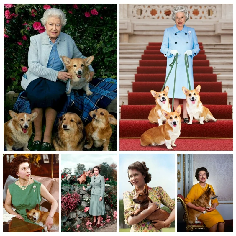 Queen Elizabeth II With Her Love Dog Diamond Painting AB Drills Art Cute Corgis And Royal Host Cross Stitch Pattern Home Decor