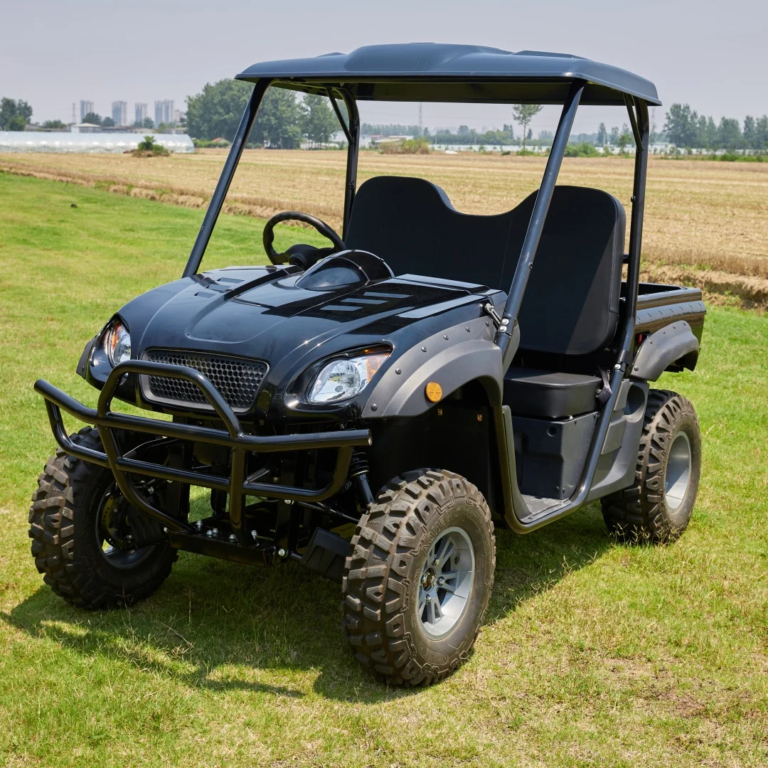 SXLL Factory Direct Sale 60v UTV Cheap Electric Automatic 4WD with EEC Certificate