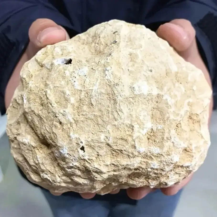 Géode d'agate naturelle non ouverte, cristaux bruts, énergie minérale, pierres brutes de guérison, grappe de cristal, Collection de grotte, cadeau d'échantillon