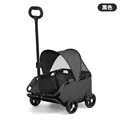 Black  with shed