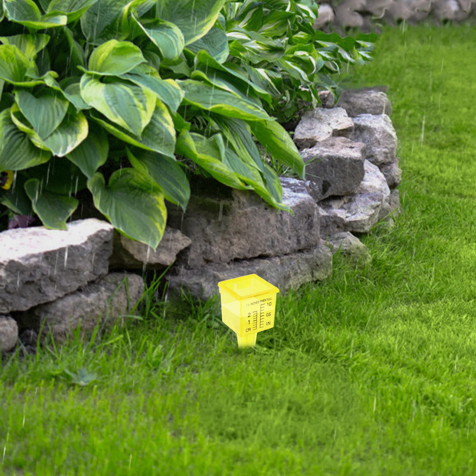 

10 Pcs Rain Gauge Outdoor Measure Gauges Guage Water Level Meter Plastic Rain-gauge Weather Lawn