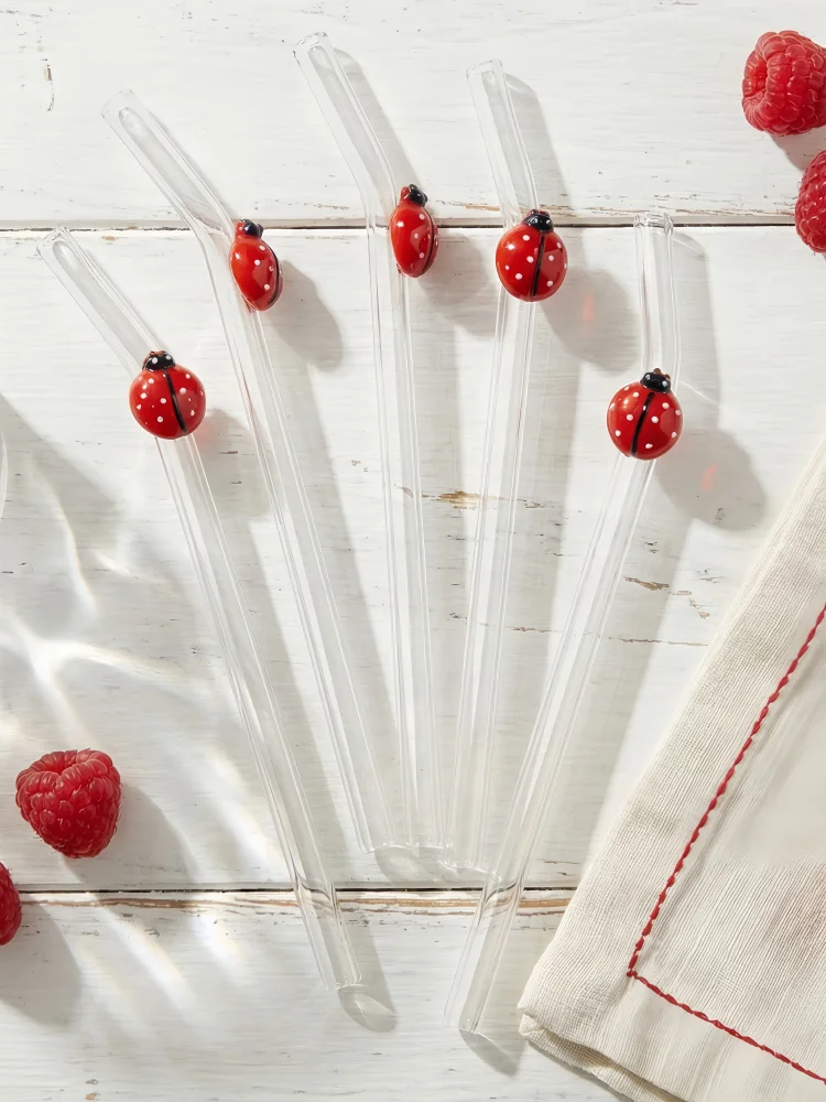 Beetle Glass Straw Reusable Bendable Cold Drink Straw for Mi