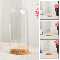 Glass Dome Cover For Flower Succulent Plants Vase With Wood Cork 10cm/12cm/18cm Eternal Flower Glass Cover With Cork Dust Cover