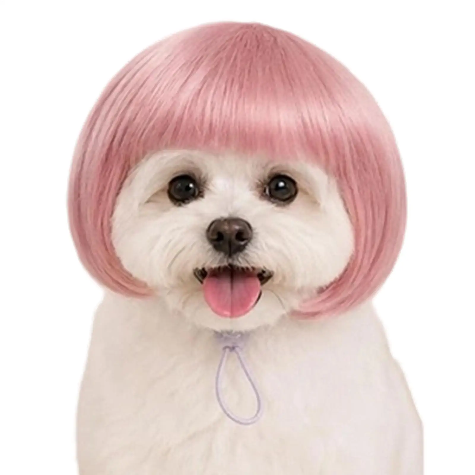 Pet Wig Funny Adjustable Comfortable Elastic Bands Pet Show Performance Stage Wigs For Halloween Cosplay Carnival Birthday