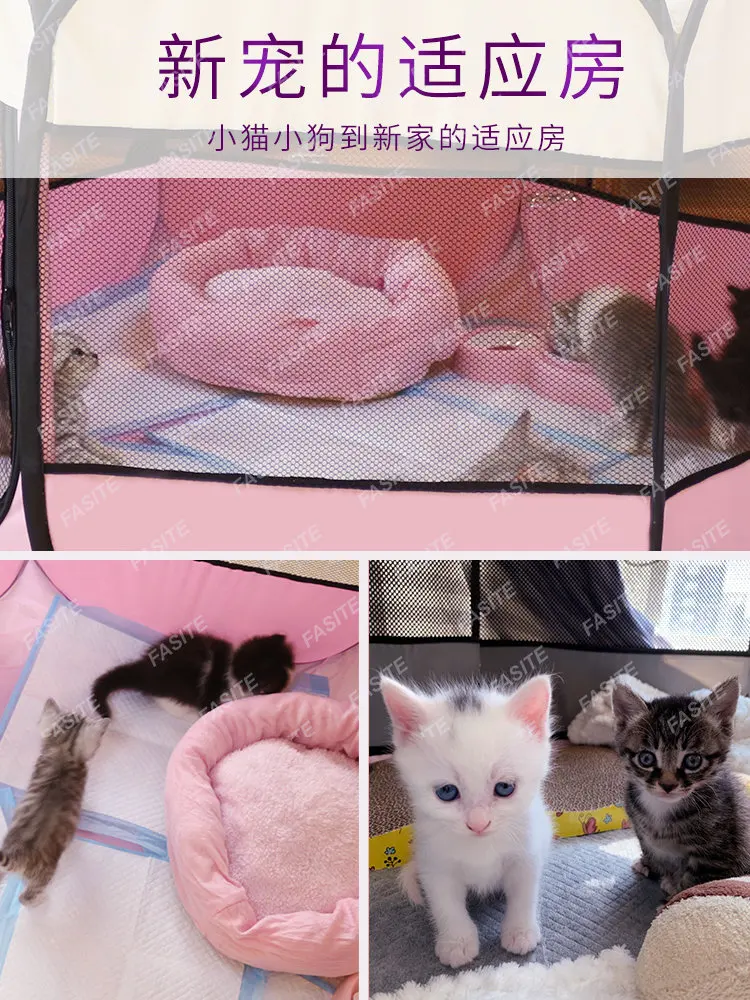 

Cat delivery room, cat nest, pet cat, pregnant and waiting for delivery, closed tent dog