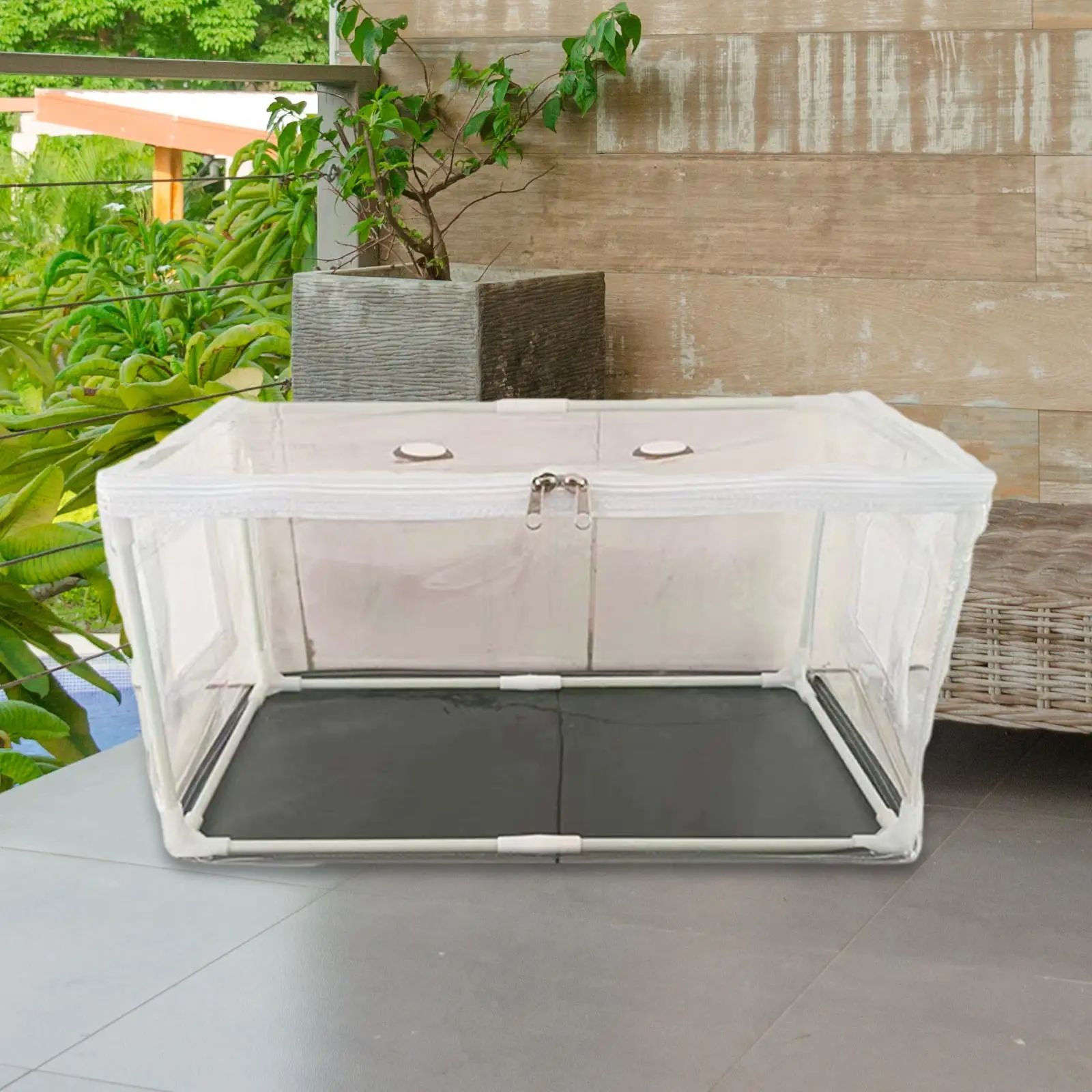 

Mushroom Growing Tent Bag Box Portable Horticulture Supplies Indoor 50x25x25cm Transparent Cover for Kids and Adults Accessories