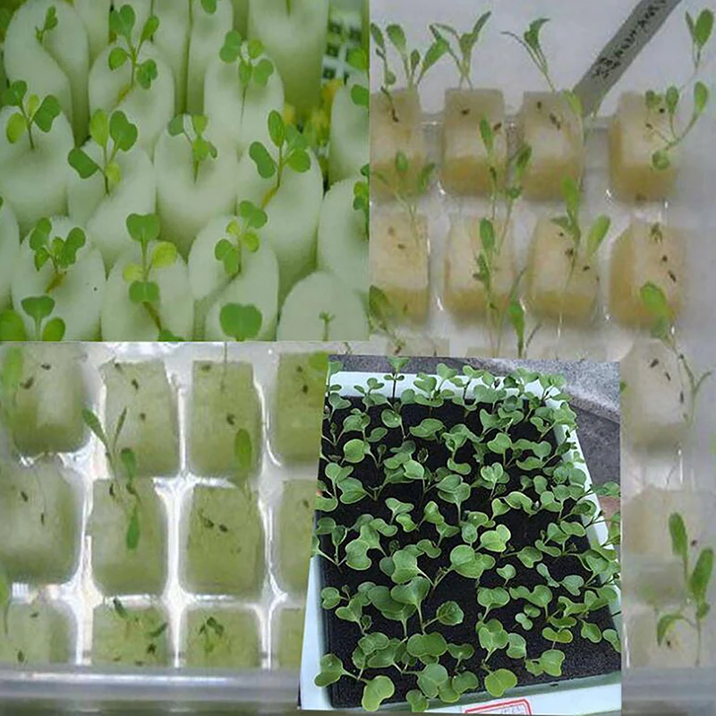 1 Sheet Soilless Hydroponic Cloning Garden Pots Nursery Collar Seedlings Plant Vegetables Cultivat Black Seedling Sponge