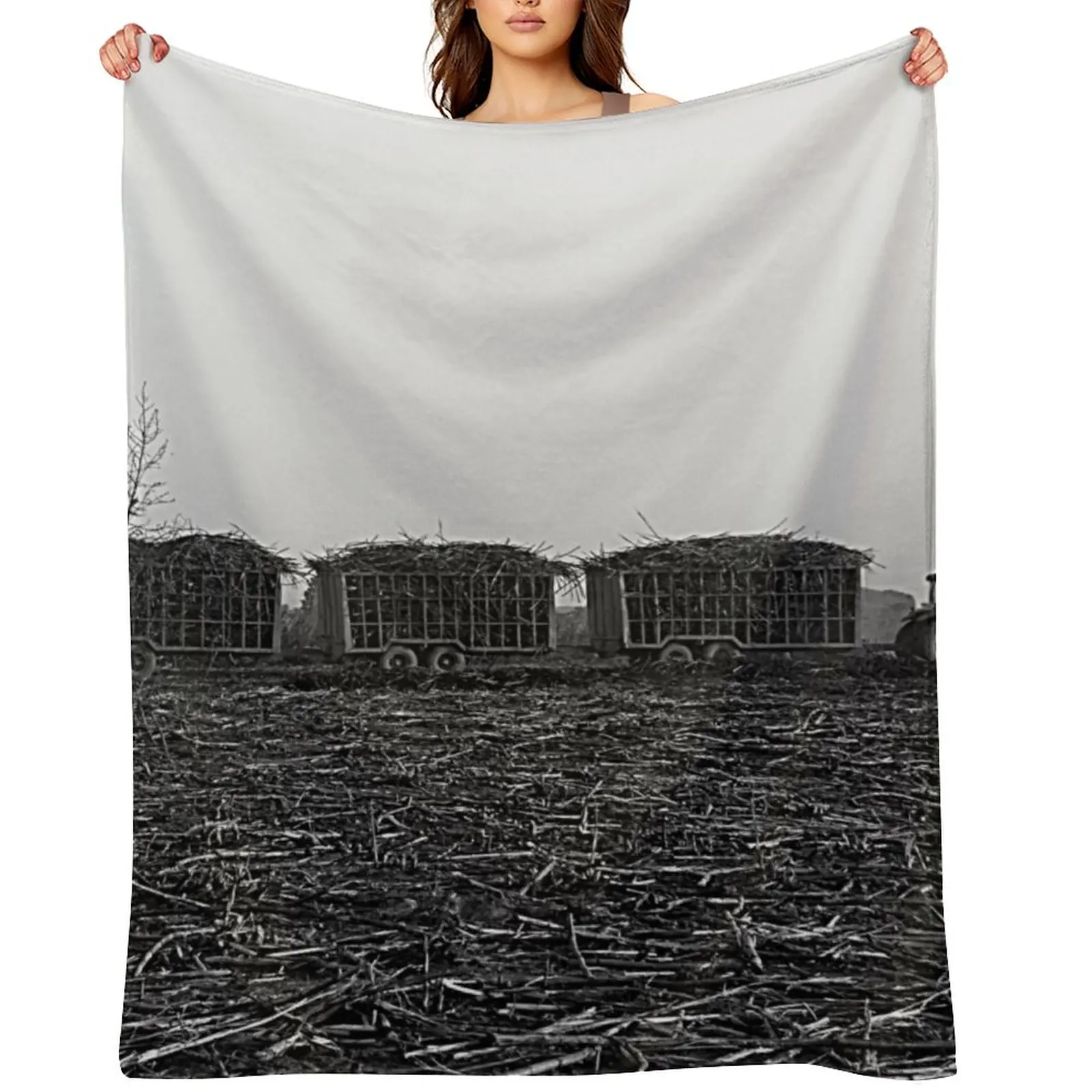 

Sugar Cane Harvest, Harvested Field, Plantation, Panorama, Africa Throw Blanket Luxury Brand Sofas Comforter for babies Blankets