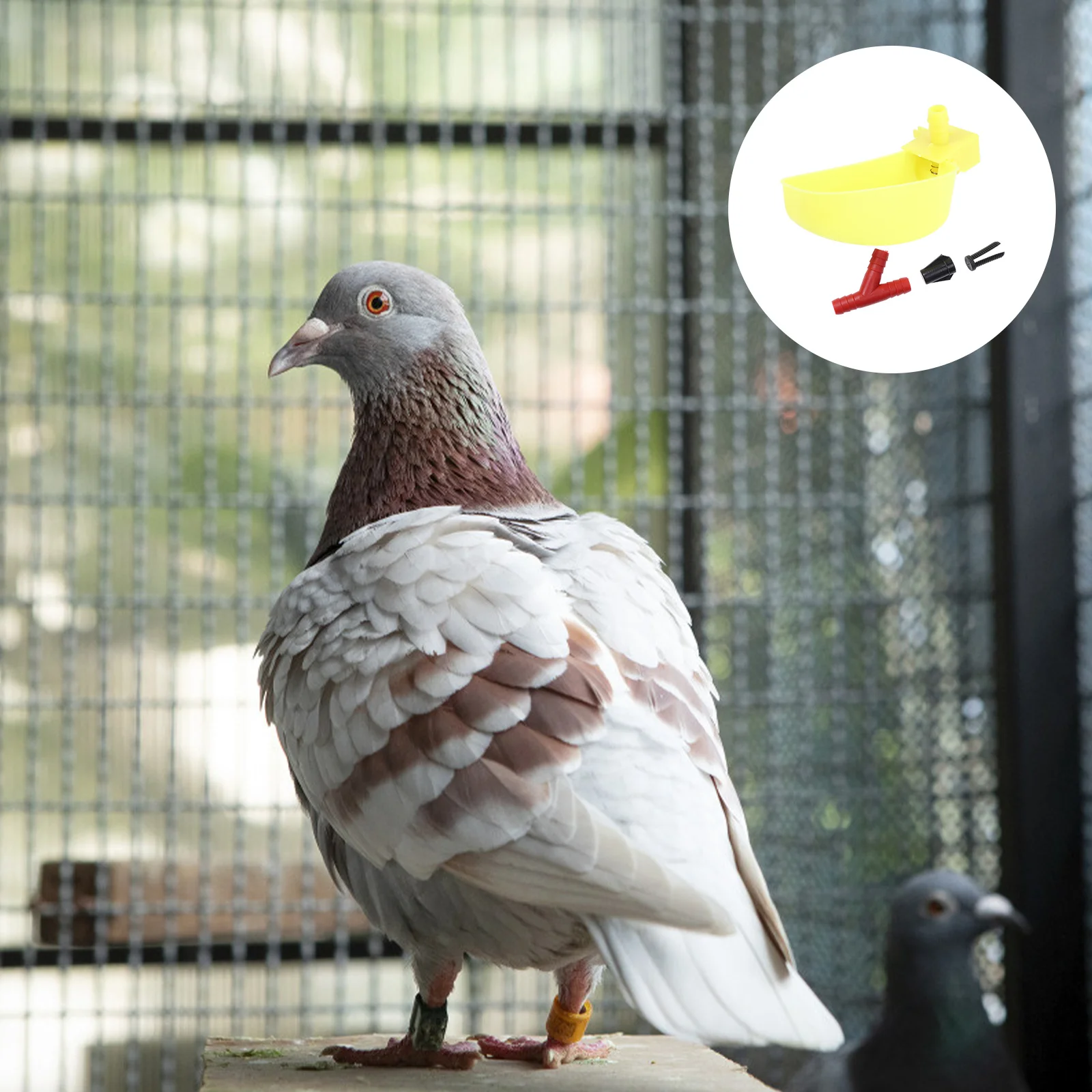 

12Pcs Automatic Birds Feeding Bowl Plastic Quail Pigeon Drinking Water Dish Cage Accessory Large Yellow Birds Dish