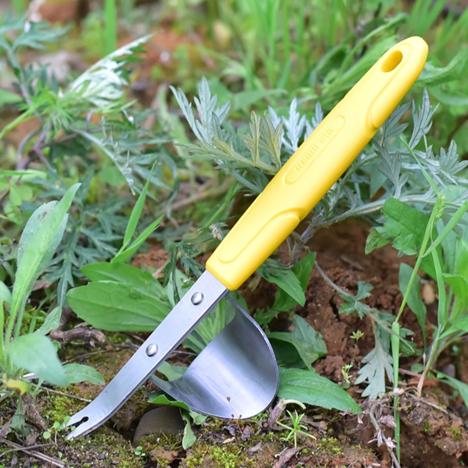Deshierbe manual de acero inoxidable para jardín, herramienta extractora de malezas de acero inoxidable para excavación de césped, granja, trasplantar, deshierbe resistente