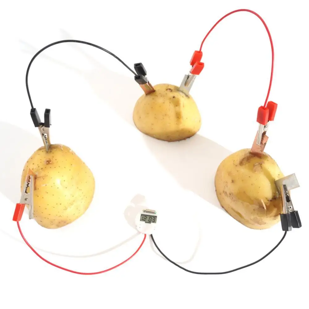 DIY Potato Fruit Power Battery Bio Energy Light Diode Clock Kit Experiment Toy