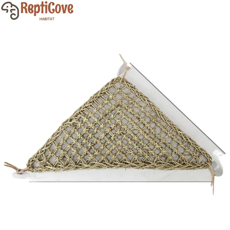 Decorative Tree-Dwe…