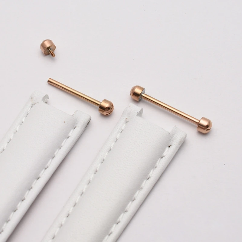 2 Pcs/pack Watch Strap Screw Pins Connection Rod Watch Lug Pins Band Link Rod Repair Tool 16mm 18mm 20mm 22mm